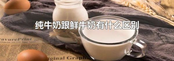 纯牛奶跟鲜牛奶有什么区别