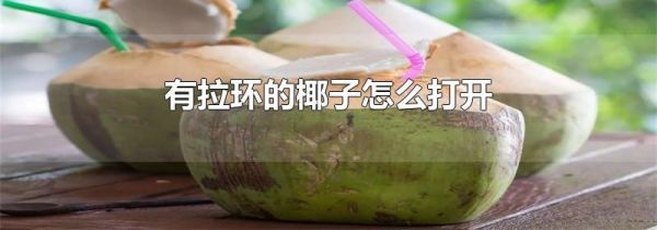 有拉环的椰子怎么打开
