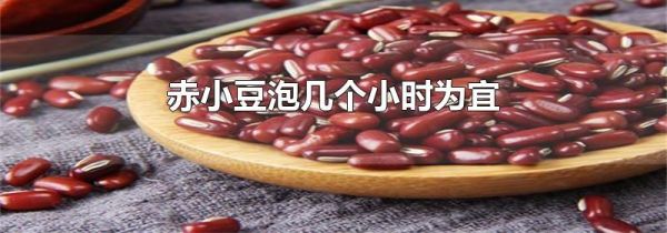赤小豆泡几个小时为宜