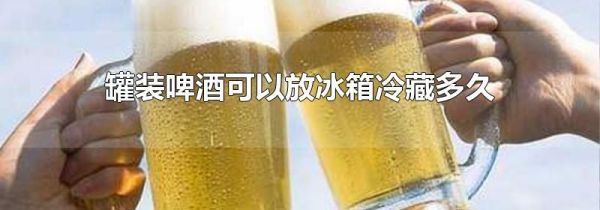 罐装啤酒可以放冰箱冷藏多久