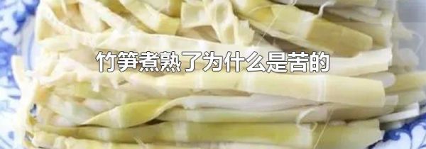 竹笋煮熟了为什么是苦的