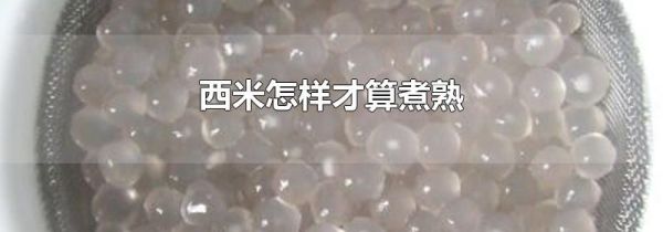 西米怎样才算煮熟