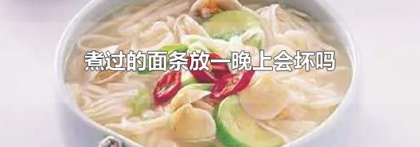 煮过的面条放一晚上会坏吗