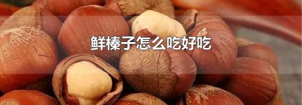 鲜榛子怎么吃好吃