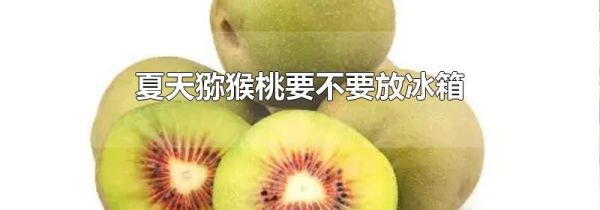 夏天猕猴桃要不要放冰箱
