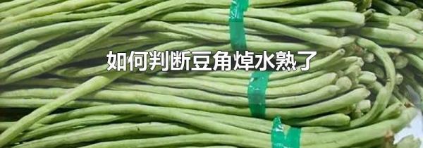 如何判断豆角焯水熟了