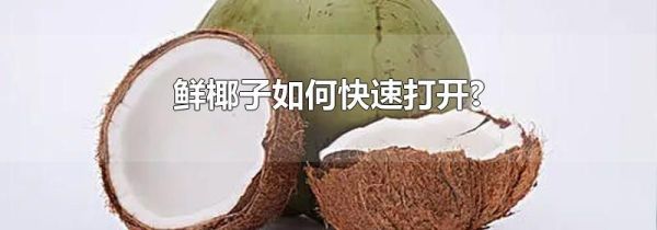 鲜椰子如何快速打开?