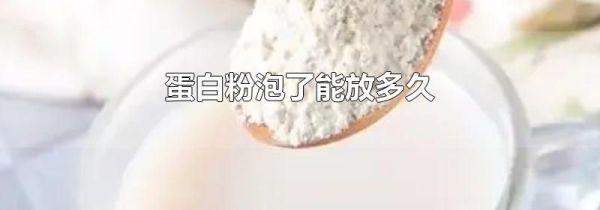 蛋白粉泡了能放多久