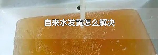 自来水发黄怎么解决