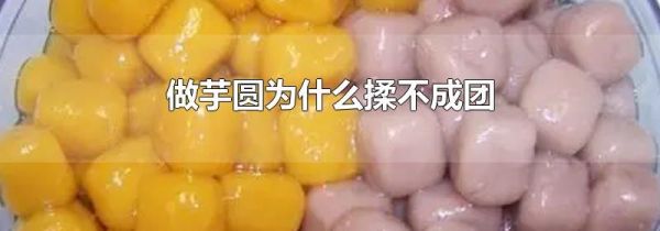 做芋圆为什么揉不成团