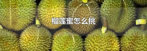 榴莲蜜怎么挑