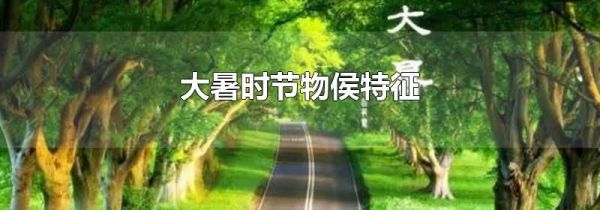 大暑时节物侯特征