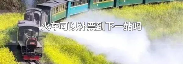 火车可以补票到下一站吗