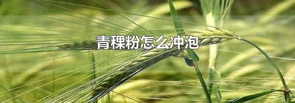 青稞粉怎么冲泡