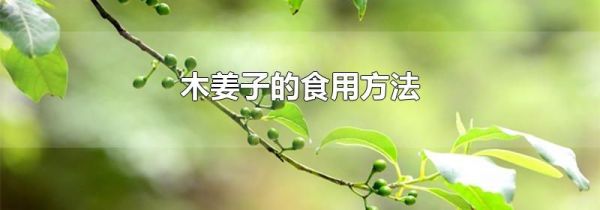 木姜子的食用方法