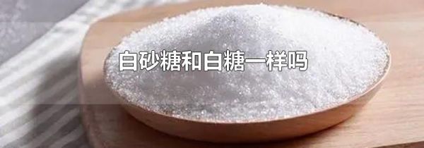 白砂糖和白糖一样吗