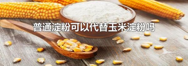 普通淀粉可以代替玉米淀粉吗