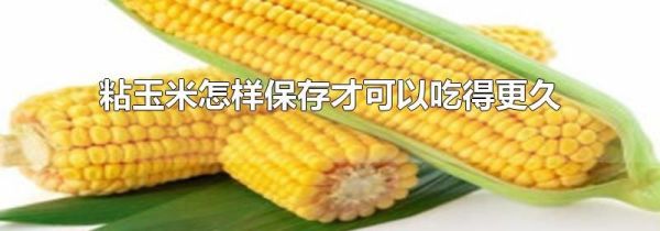 粘玉米怎样保存才可以吃得更久
