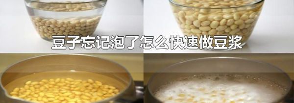 豆子忘记泡了怎么快速做豆浆