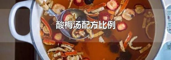 酸梅汤配方比例
