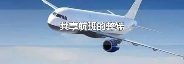 共享航班的弊端