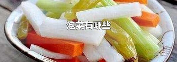 泡菜有哪些