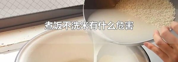 煮饭不洗米有什么危害