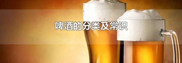 啤酒的分类及常识
