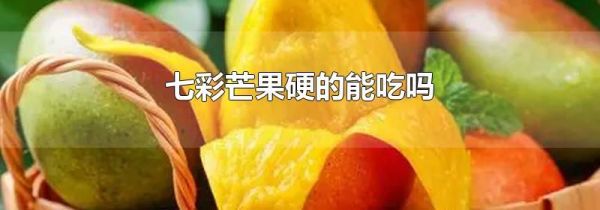 七彩芒果硬的能吃吗