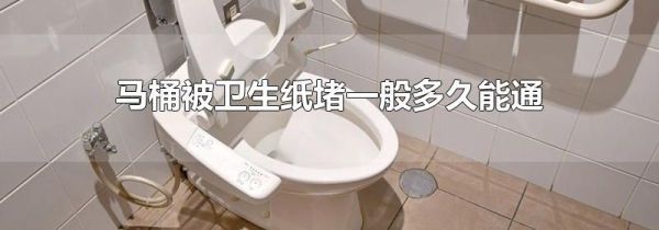 马桶被卫生纸堵一般多久能通
