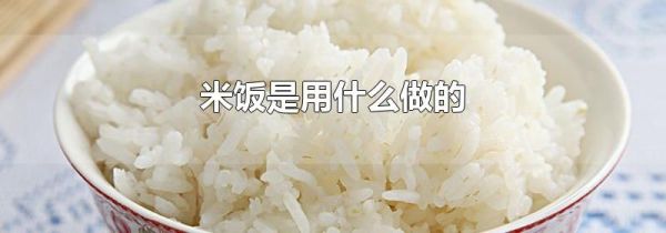 米饭是用什么做的