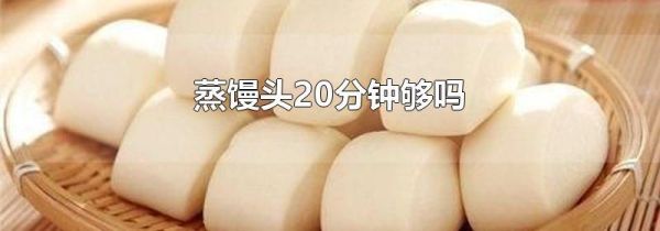 蒸馒头20分钟够吗