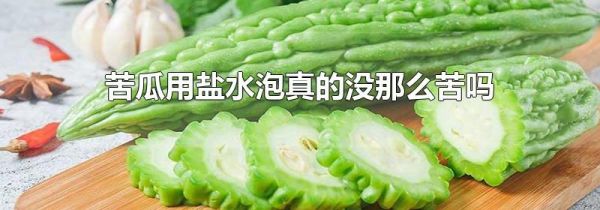 苦瓜用盐水泡真的没那么苦吗