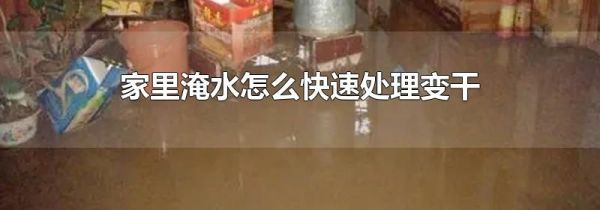 家里淹水怎么快速处理变干