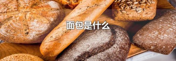 面包是什么
