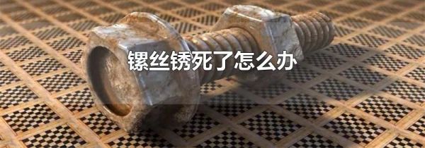 镙丝锈死了怎么办