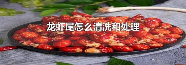 龙虾尾怎么清洗和处理