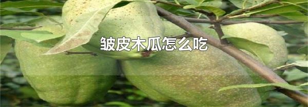 皱皮木瓜怎么吃