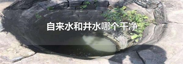 自来水和井水哪个干净