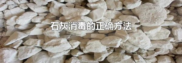 石灰消毒的正确方法
