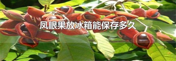 凤眼果放冰箱能保存多久