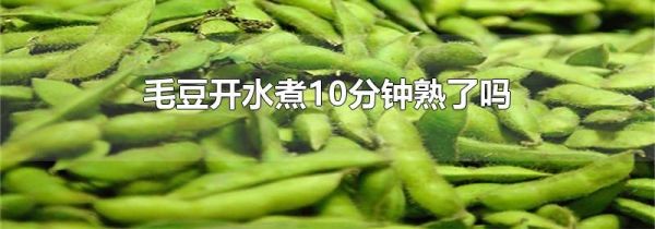 毛豆开水煮10分钟熟了吗