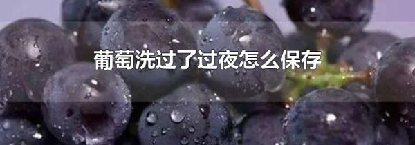葡萄洗过了过夜怎么保存