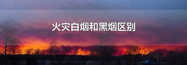 火灾白烟和黑烟区别