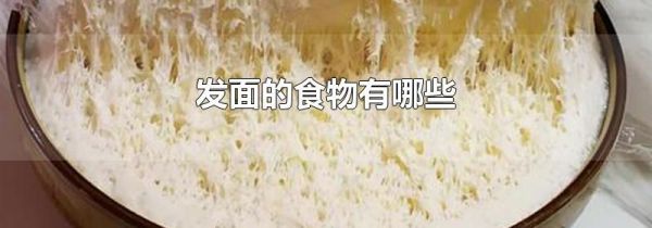 发面的食物有哪些