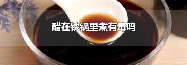 醋在铁锅里煮有毒吗