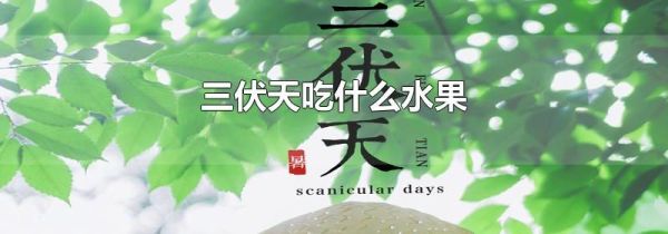 三伏天吃什么水果
