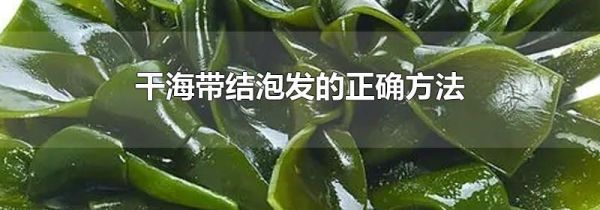 干海带结泡发的正确方法