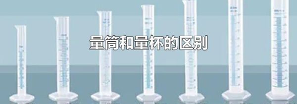 量筒和量杯的区别