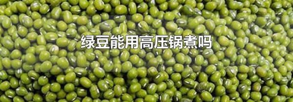 绿豆能用高压锅煮吗